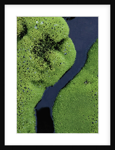 Mountain Stream in Iceland by Anonymous