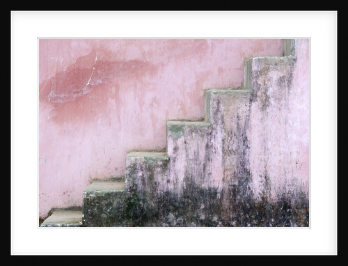 Mildew on Pink Stairs by Anonymous