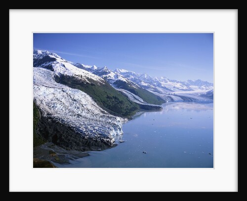 Glaciers in College Fjord by Anonymous