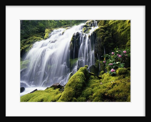 Proxy Falls in Oregon by Anonymous