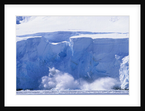 Glacier Calving Iceberg into Paradise Bay in Antarctica by Anonymous
