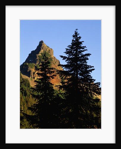 Pinnacle Peak in Mount Rainier National Park by Anonymous