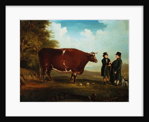 The Northumberland Ox by Howe of Edinburgh