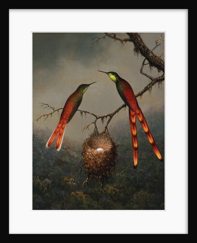 Two Hummingbirds Guarding an Egg Nest by Martin Johnson Heade