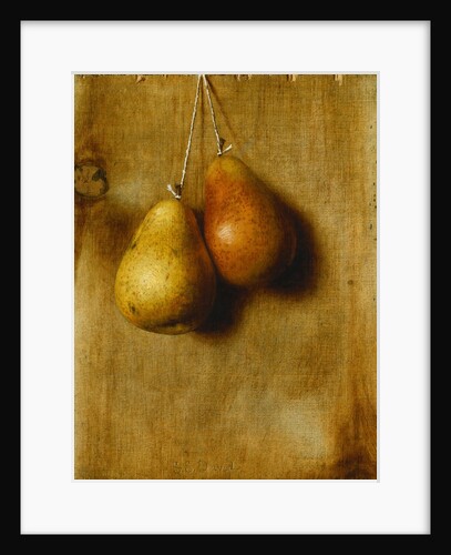 Hanging Pears by Stanley S. David