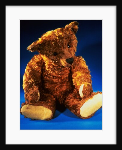 Teddy Girl by Steiff by Anonymous