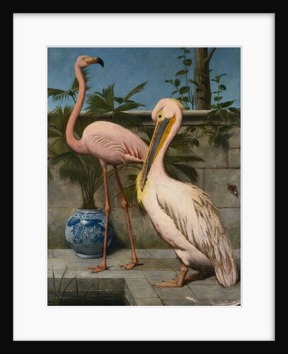 Flamingo and Pelican by Henry Stacy Marks