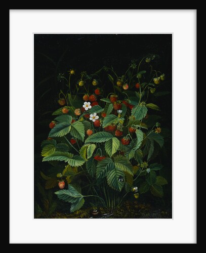 Wild Strawberries by Otto Diderich Ottesen