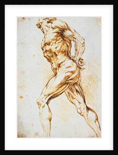 Anatomical Study: A Nude Striding to the Right His Hands Behind His Back by Peter Paul Rubens