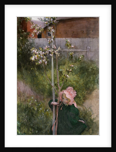 Appelblom by Carl Larsson