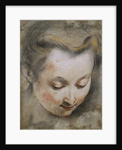 The Head of a Woman Looking Down to the Right by Federico Barocci
