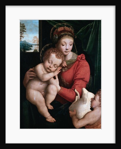 The Madonna with the Sleeping Child and the Infant Baptist by Bernardino Lanino