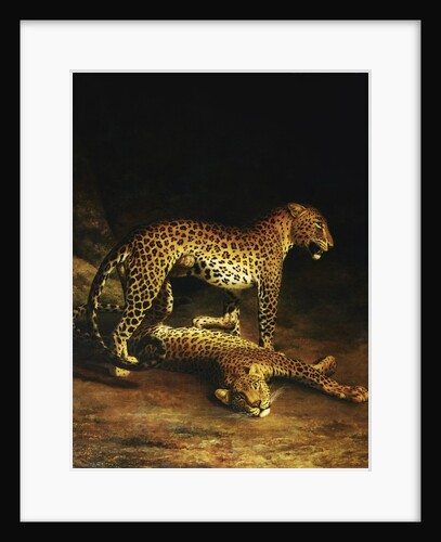 Two Leopards Lying in the Exeter by Jacques Laurent Agasse