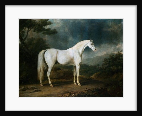White Horse in a Wooded Landscape by Sawrey Gilpin