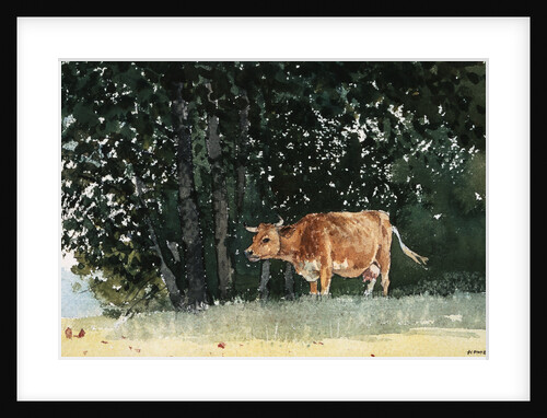 Cow in Pasture by Winslow Homer