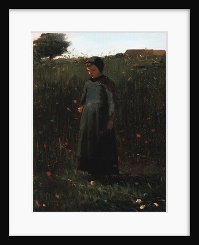 The Flowers of the Field by Winslow Homer