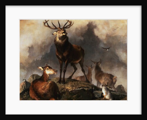 Scene in Braemar - Highland Deer by Sir Edwin Henry Landseer