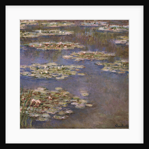 Nympheas by Claude Monet