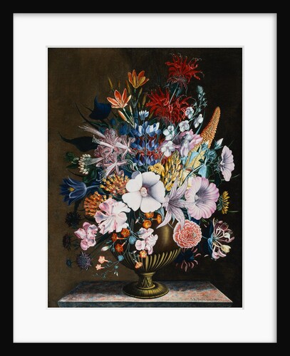 An Arrangement of Honeysuckle, Yellow Lupin, Lilies, Scabius and Other Flowers in a Vase by J.A. Simson