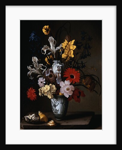 Irises, a Carnation, and other Flowers in a Blue and White Vase with Seashells on a Stone Ledge by Jan Baptiste van Forenburgh