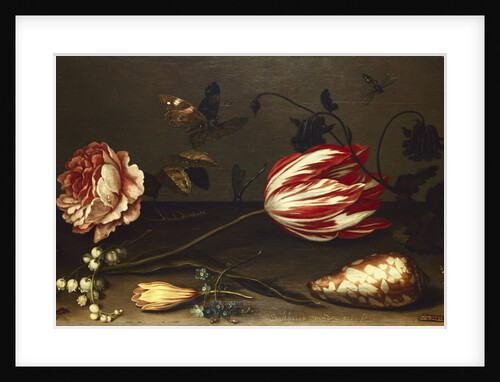 Flowers, Insects, and a Shell by Balthasar van der Ast