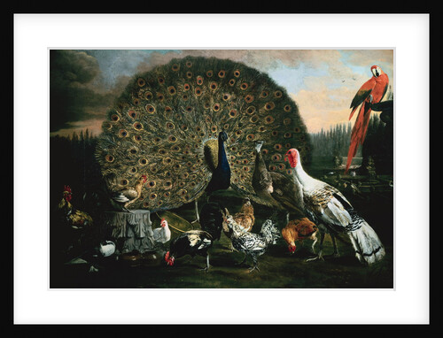 A Peacock and Other Birds in a Park by Jacomo Victors