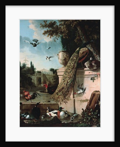 A Peacock and other Birds in the Gardens of a Palace by Melchoir d'Hondecoeter
