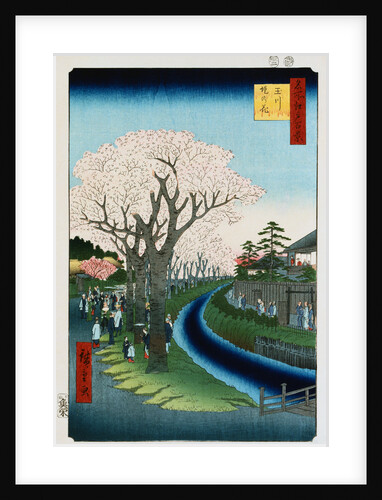 Cherry Blossoms, Tama River Embankment by Ando Hiroshige