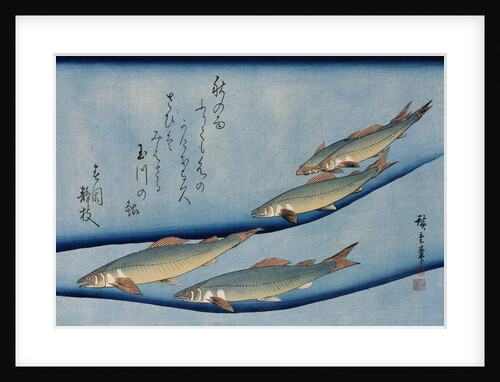 Rivertrout, from the Fish Series by Utagawa Hiroshige