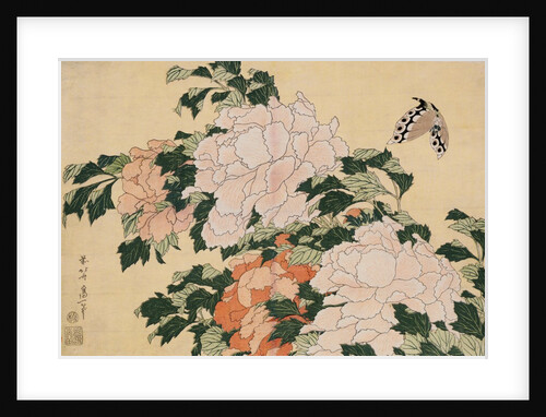 Pink and Red Peonies Blown to the Left in a Breeze and a Butterfly by HOKUSAI