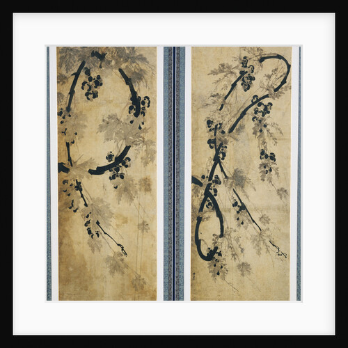 Grapes Vines by Anonymous