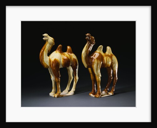 A Rare Pair of Sancai-Glazed Pottery Figures of Braying Bactrian Camels by Anonymous