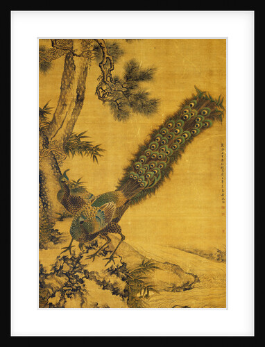 Bamboo, Pine and Peacocks. Hanging Scroll, 1752 by Shen Quan