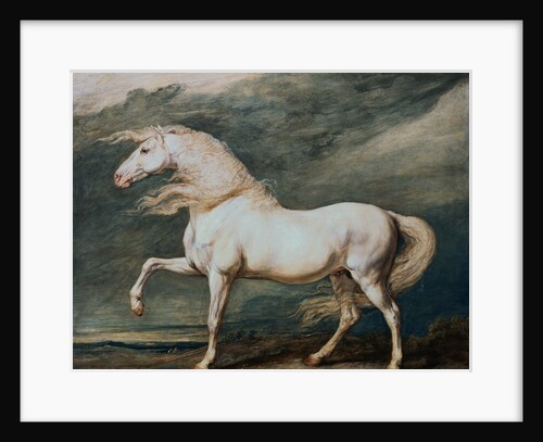 Adonis, King George III's Favorite Charger by James Ward