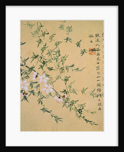Flowers, from an Album of Ten Leaves by Zhou Xianji