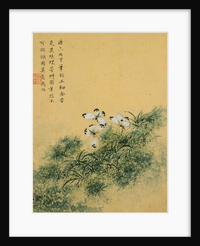 Flowers, from an Album of Ten Leaves (Butterflies) by Zhou Xianji