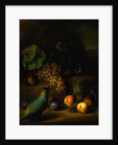 Painting of a Parrot with Grapes, Peaches and Plums in a Landscape by Tobias Stranover