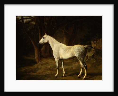 A Grey Hunter in a Woodland Landscape by Agasse Jacques Laurent