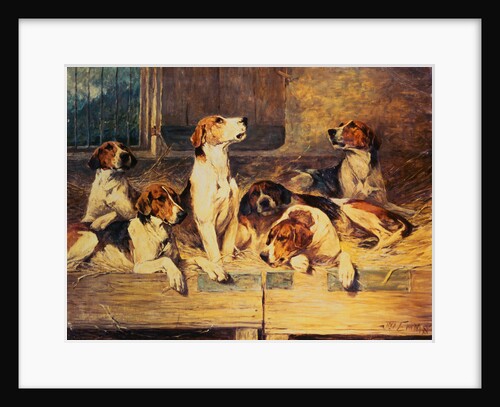 Painting of Foxhounds in a Kennel by John Emms