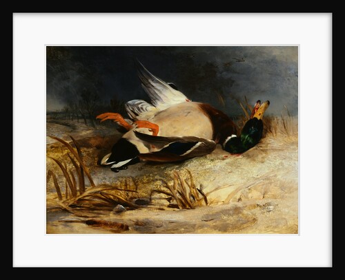The Dead Mallard by Sir Edwin Henry Landseer