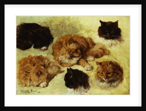 Studies of Cats by Henriette Ronner-Knip