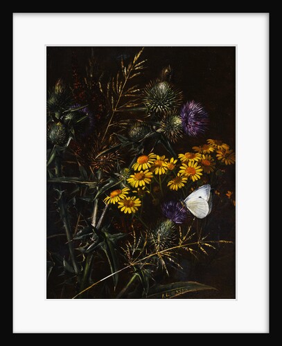 Thistles and Daisies by Johan Laurentz Jensen