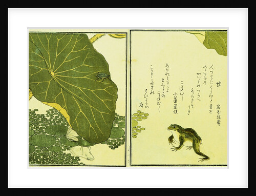 Illustration from A Picture Book of Selected Insects (Frog and Lilypad) by Utamaro