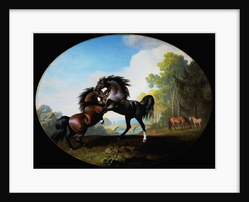 Stallions Fighting by George Stubbs