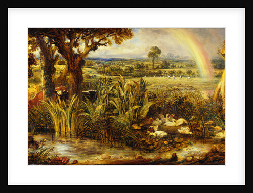 The Rainbow by James Ward