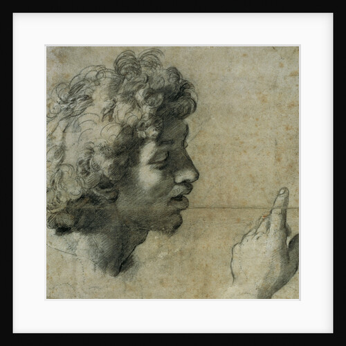 Study for the Head and Hand of an Apostle by Raphael