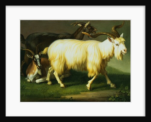 Billy Goats by Wenzel Peter