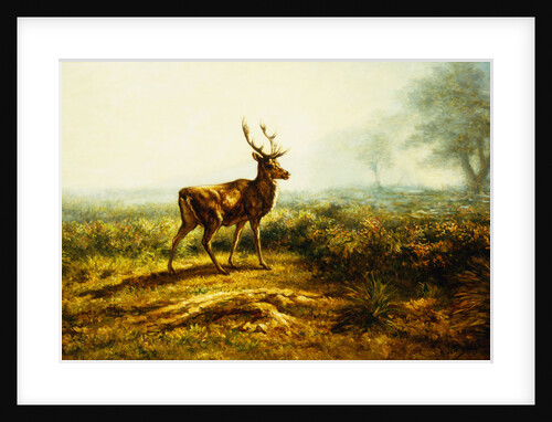 The Stag, Effect of the Morning by Rosa Bonheur