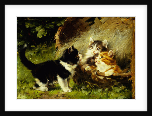 Any Room in the Basket? by Julius Adam