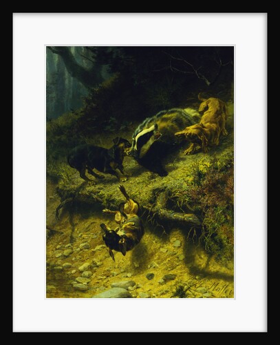 Dachshunds on a Badger by Guido von Maffei